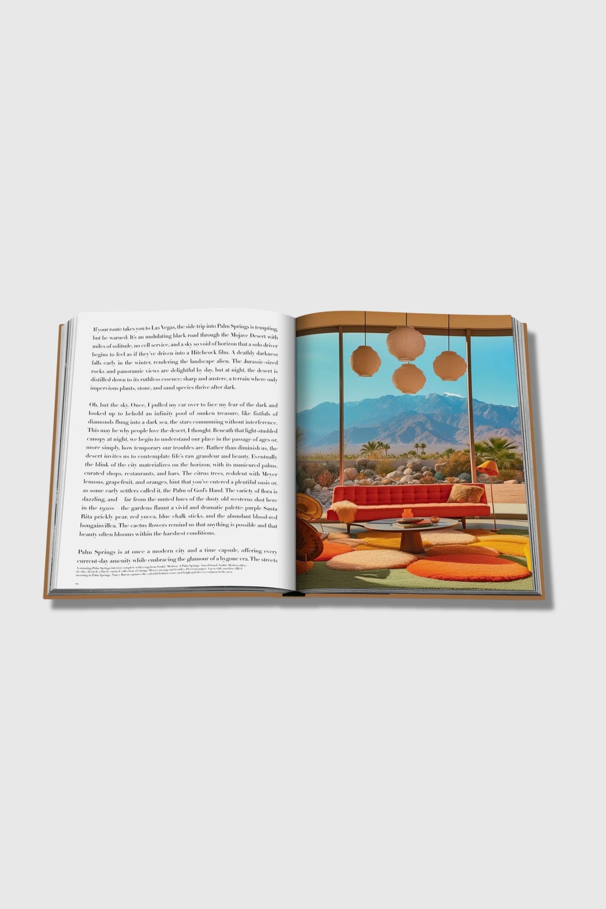 Assouline Palm Springs