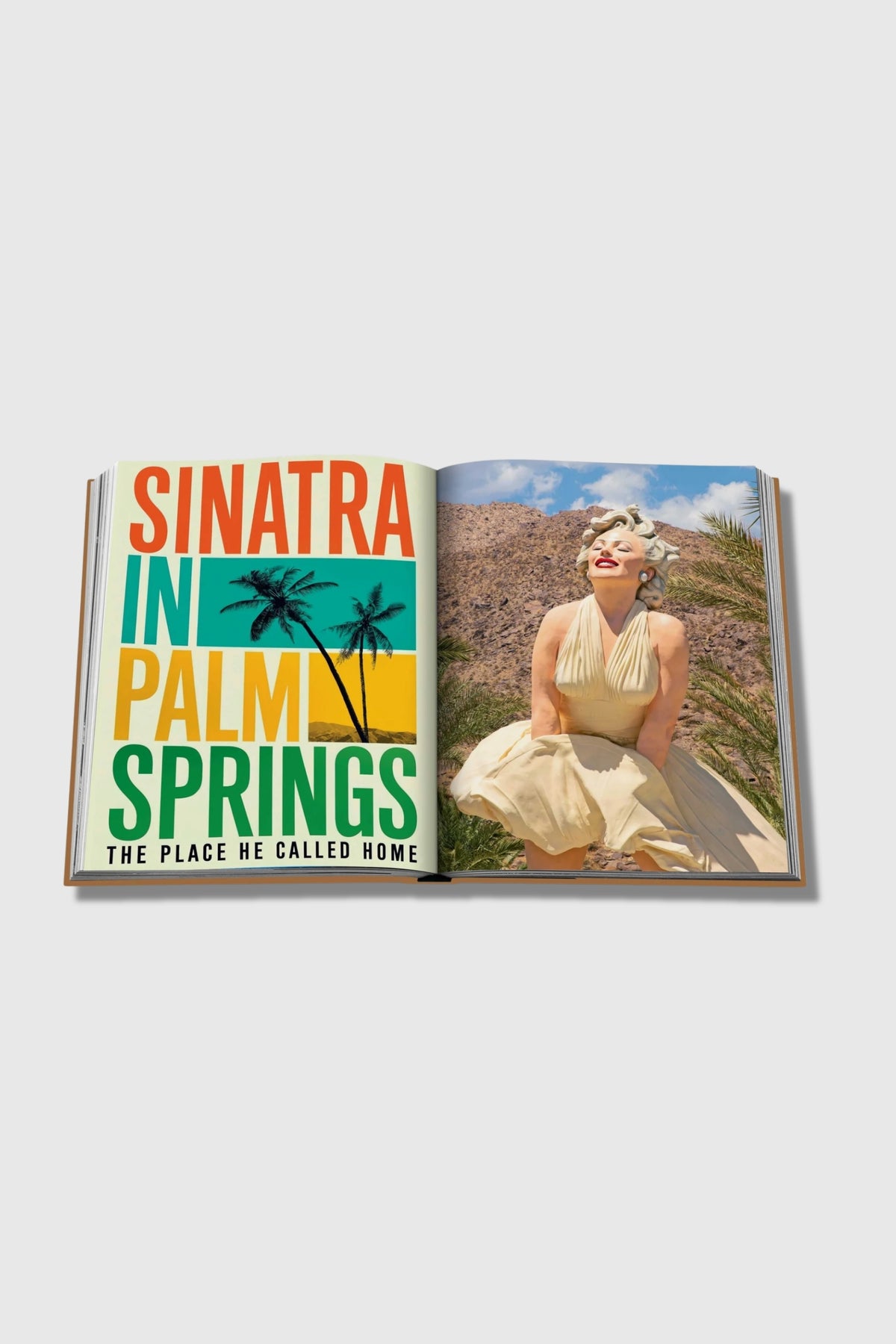 Assouline Palm Springs
