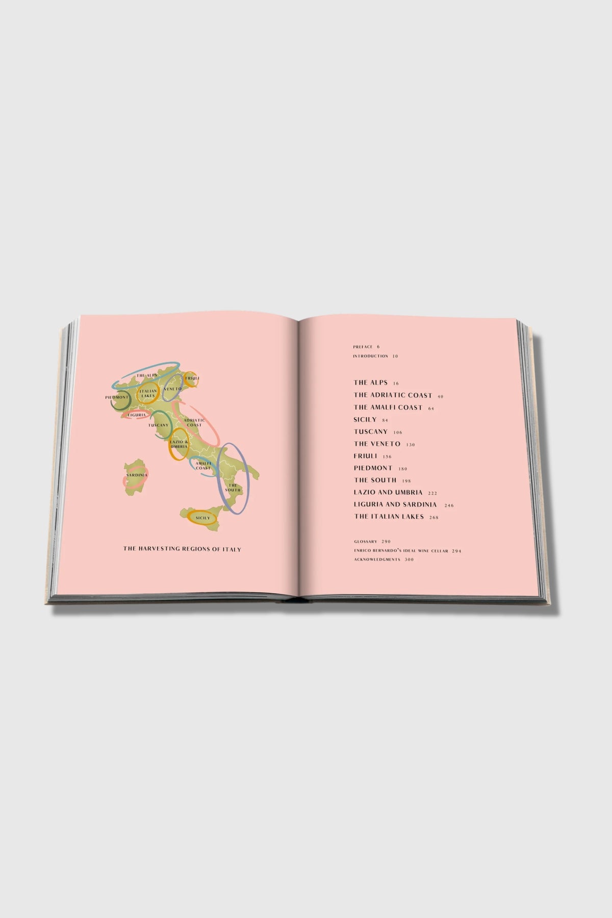 Assouline Wine &amp; Travel Italy