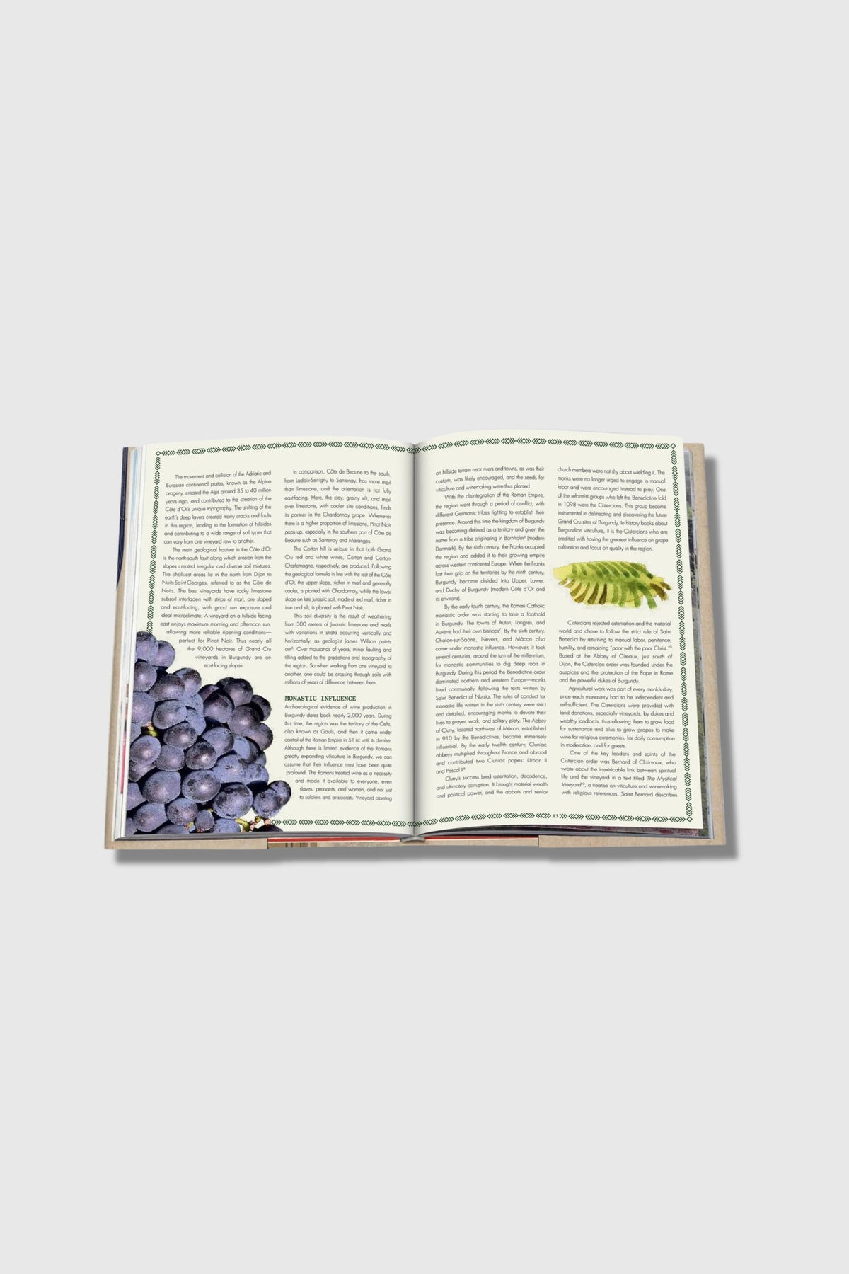 Assouline The 100 Burgundy: Expectional Wines To Bulid A Dream Cellar