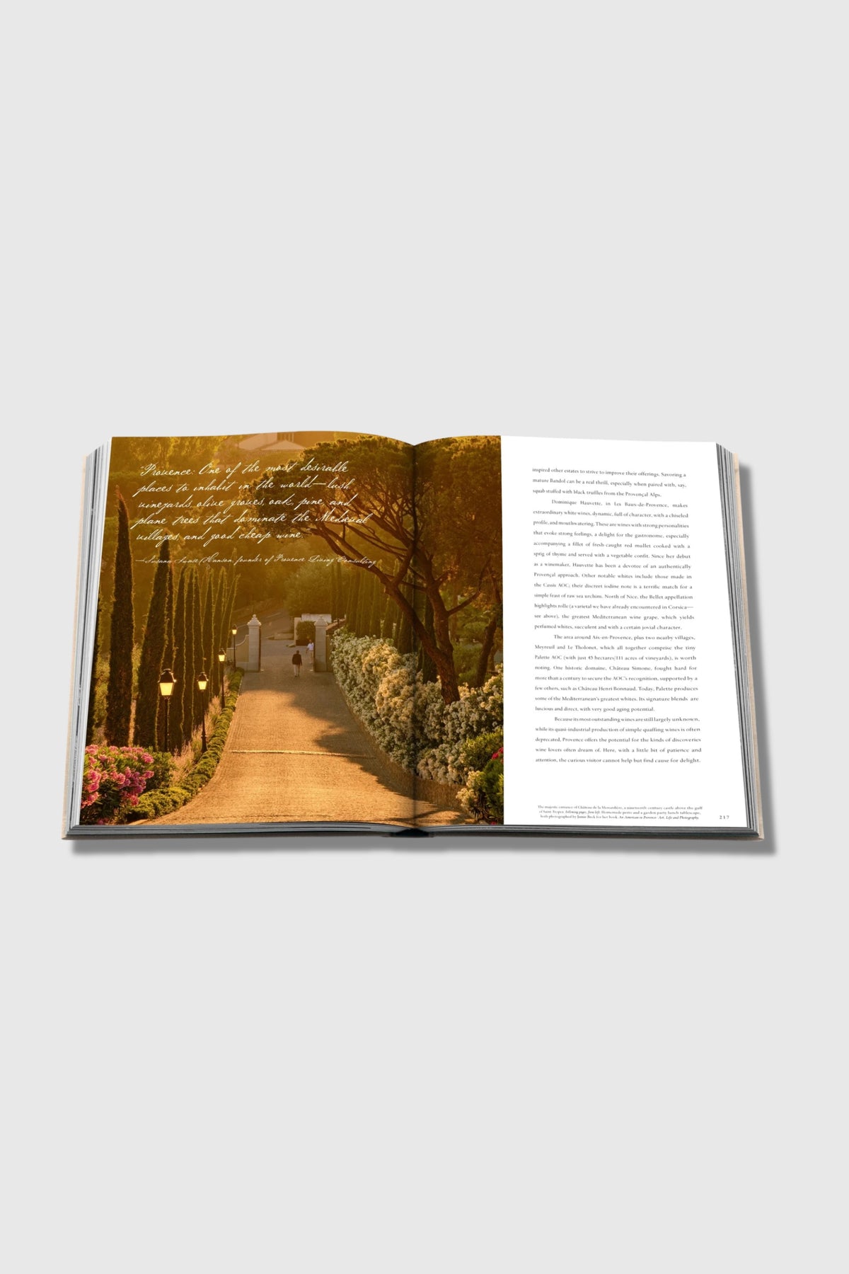 Assouline Wine &amp; Travel France