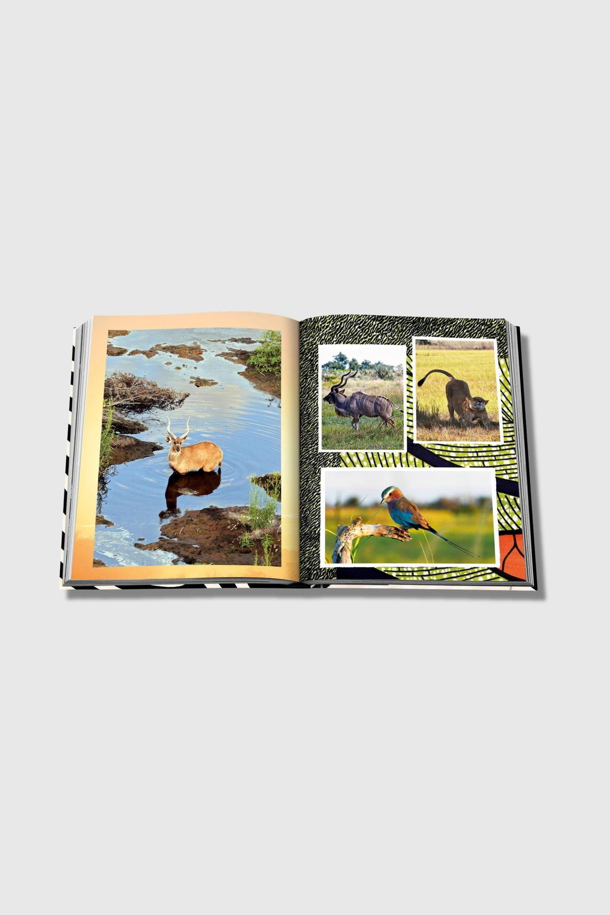 Assouline African Adventures: The Greatest Safari on Earth