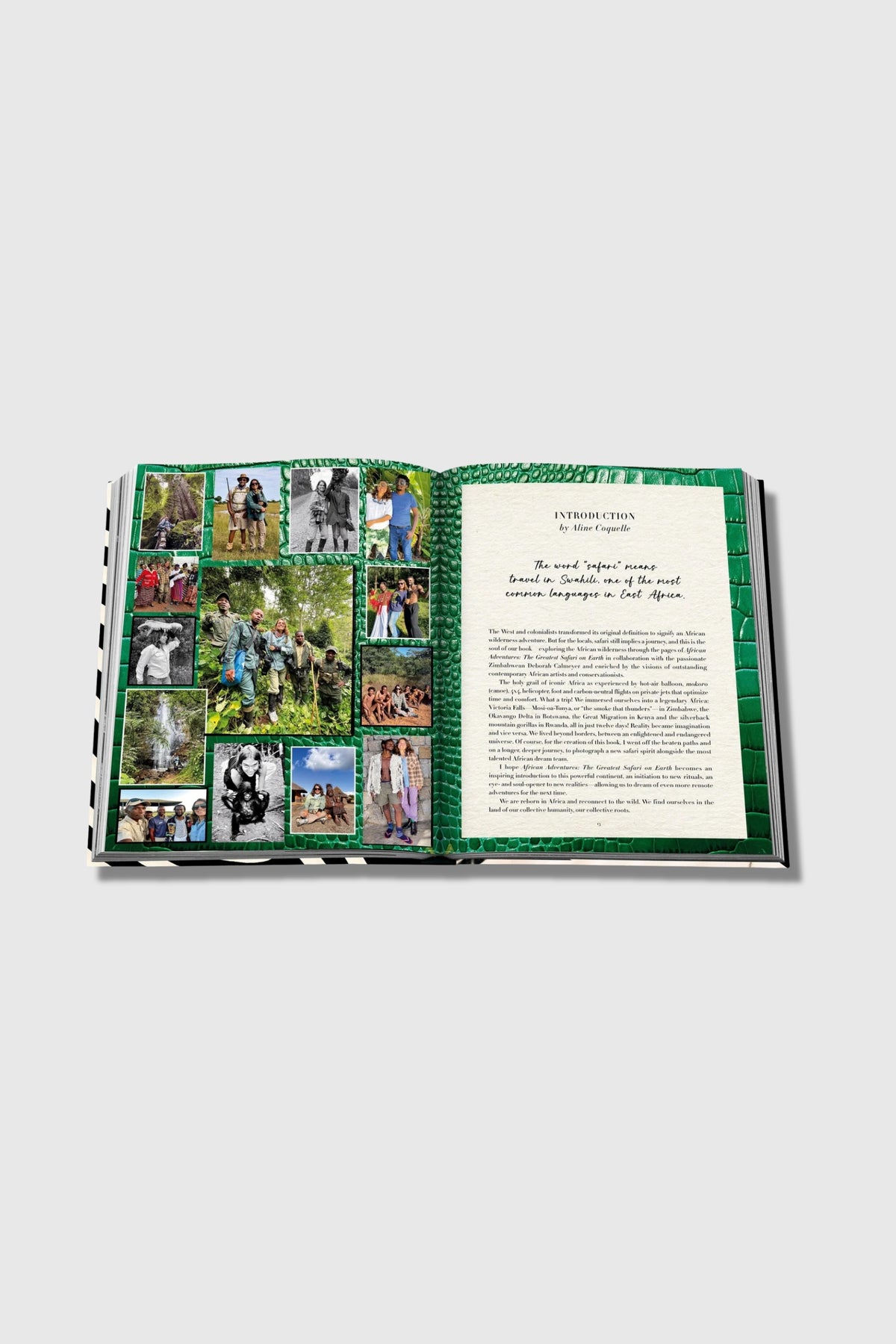 Assouline African Adventures: The Greatest Safari on Earth