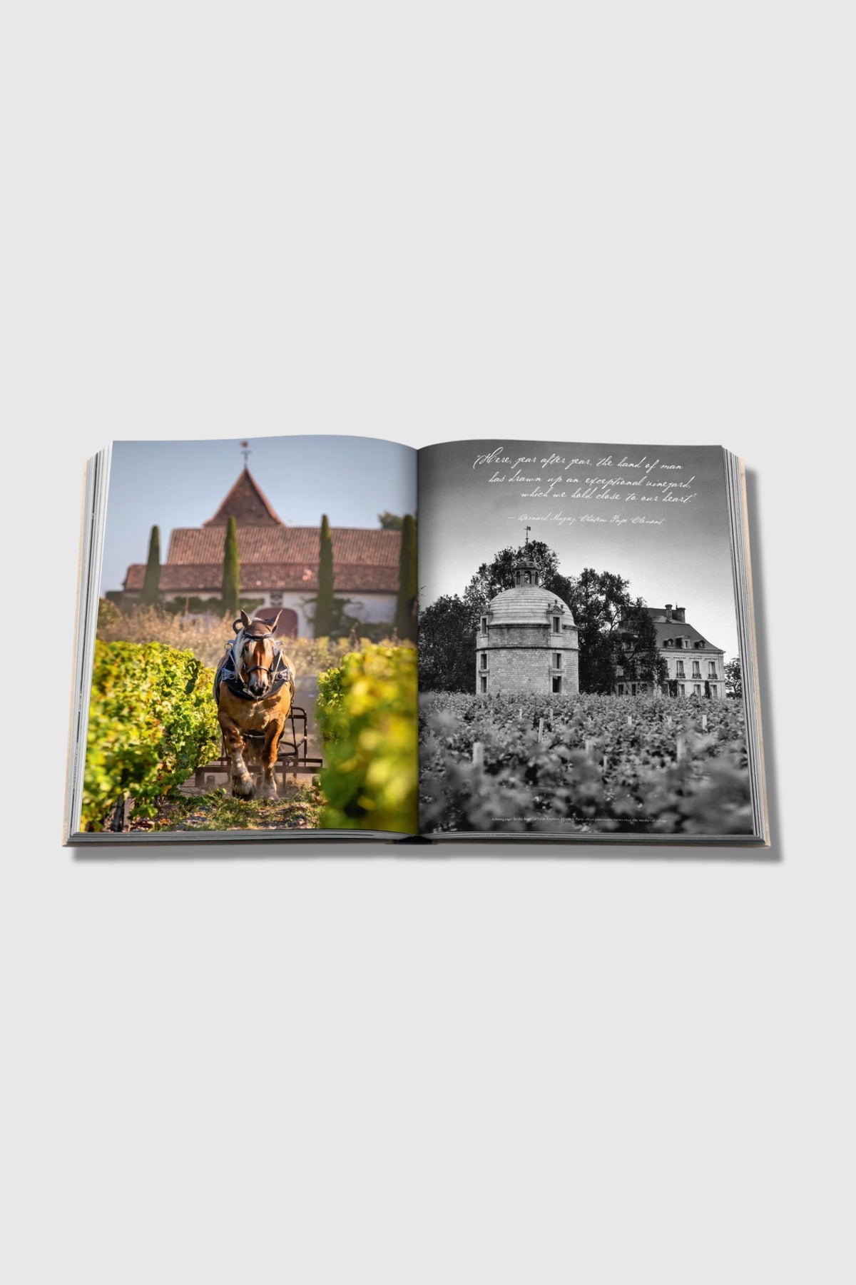 Assouline Wine &amp; Travel France