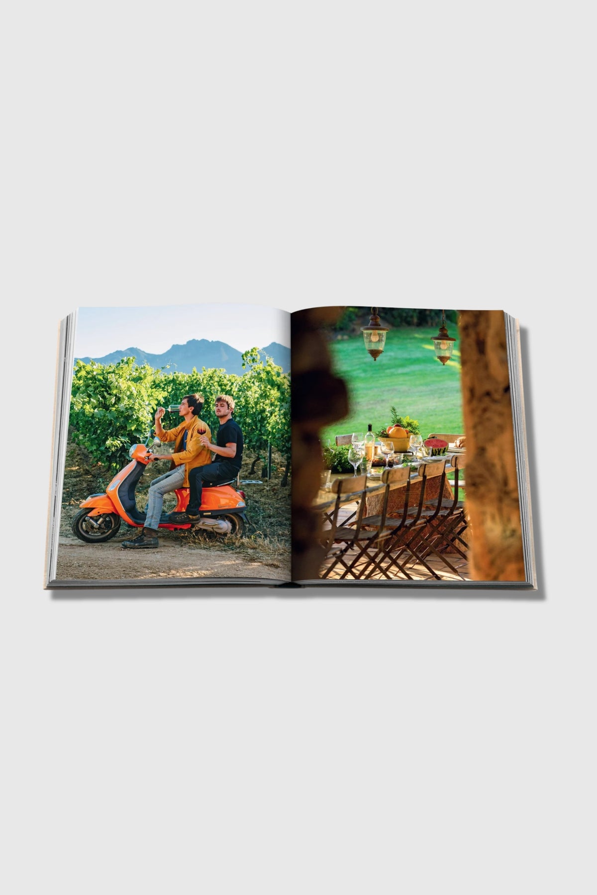 Assouline Wine &amp; Travel France