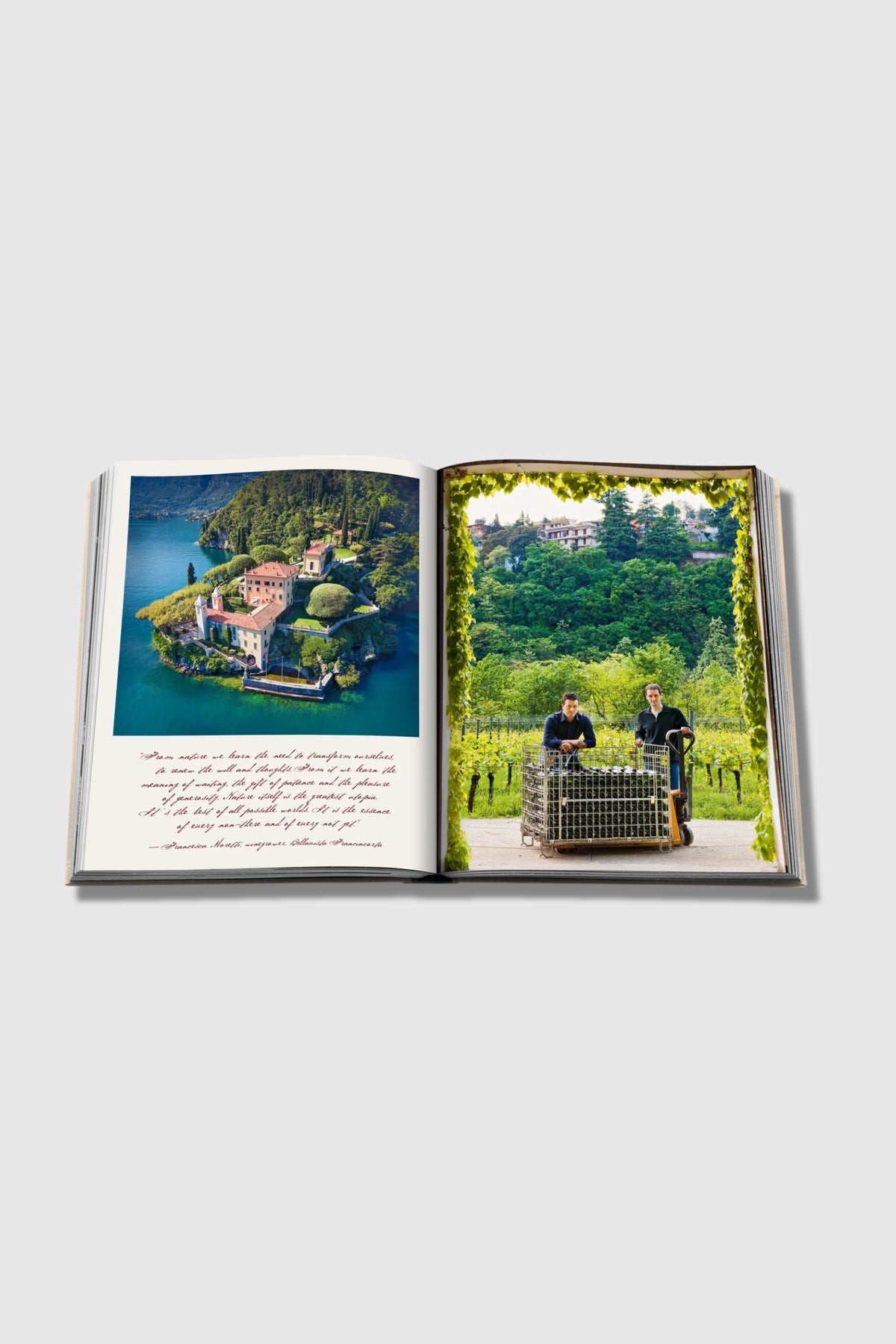 Assouline Wine &amp; Travel Italy