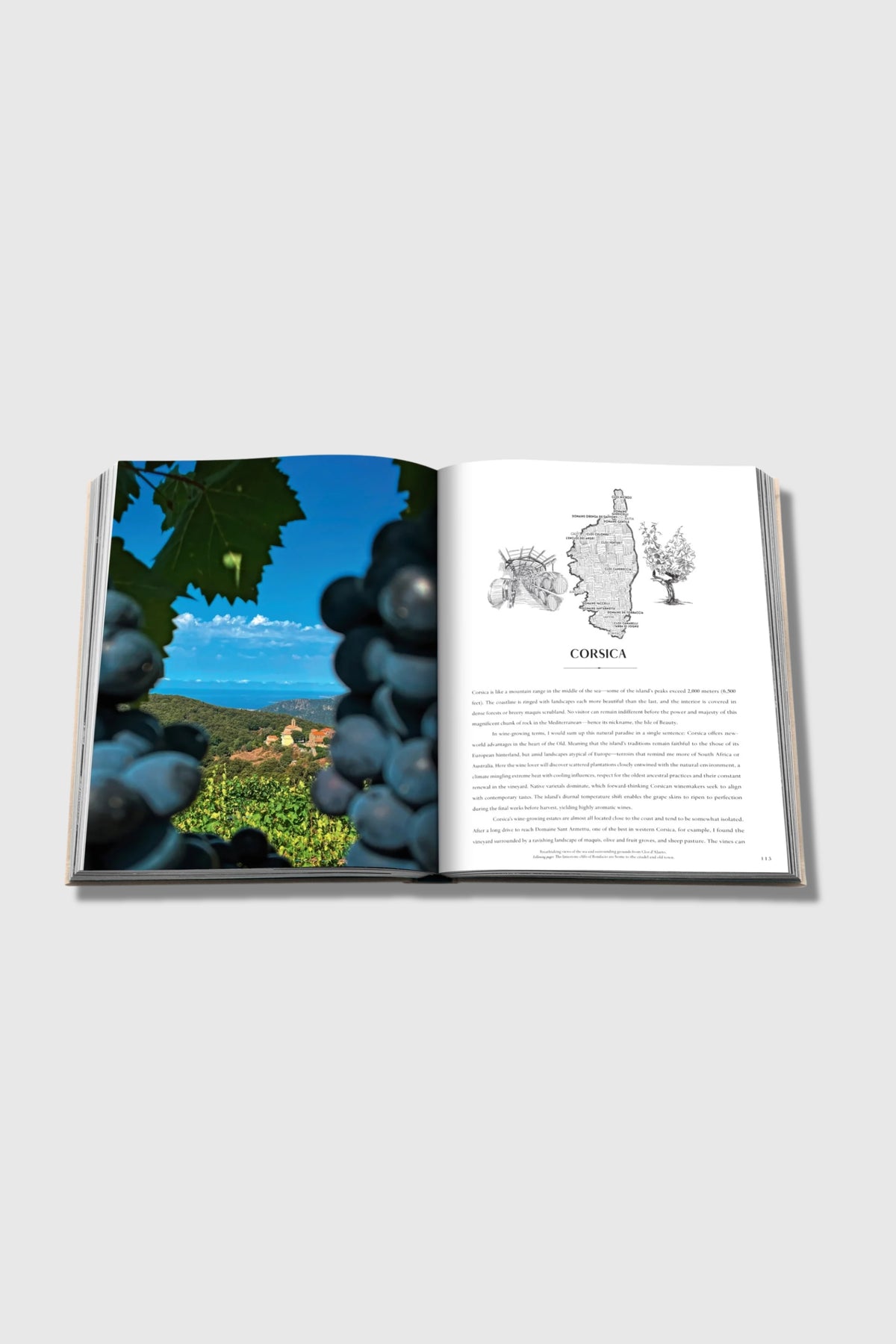 Assouline Wine &amp; Travel France