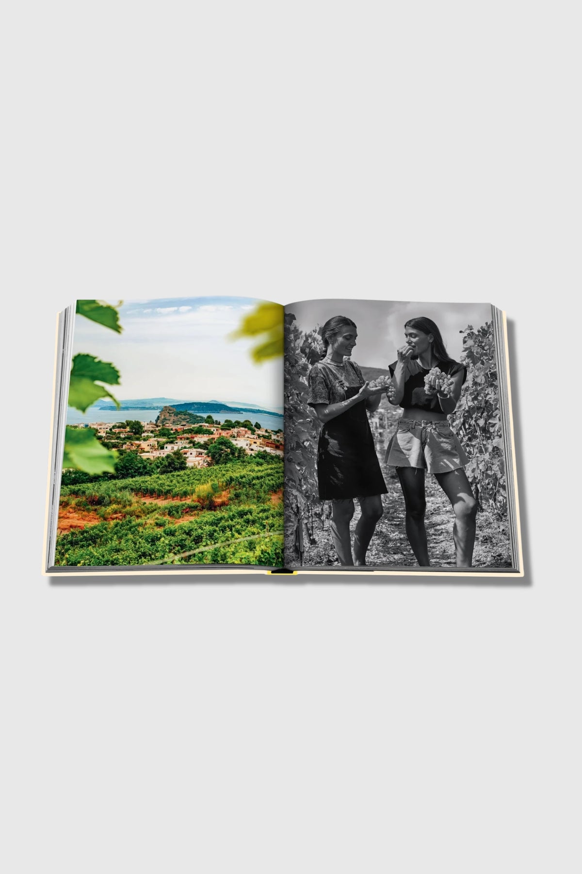 Assouline Wine &amp; Travel Mediterranean Islands